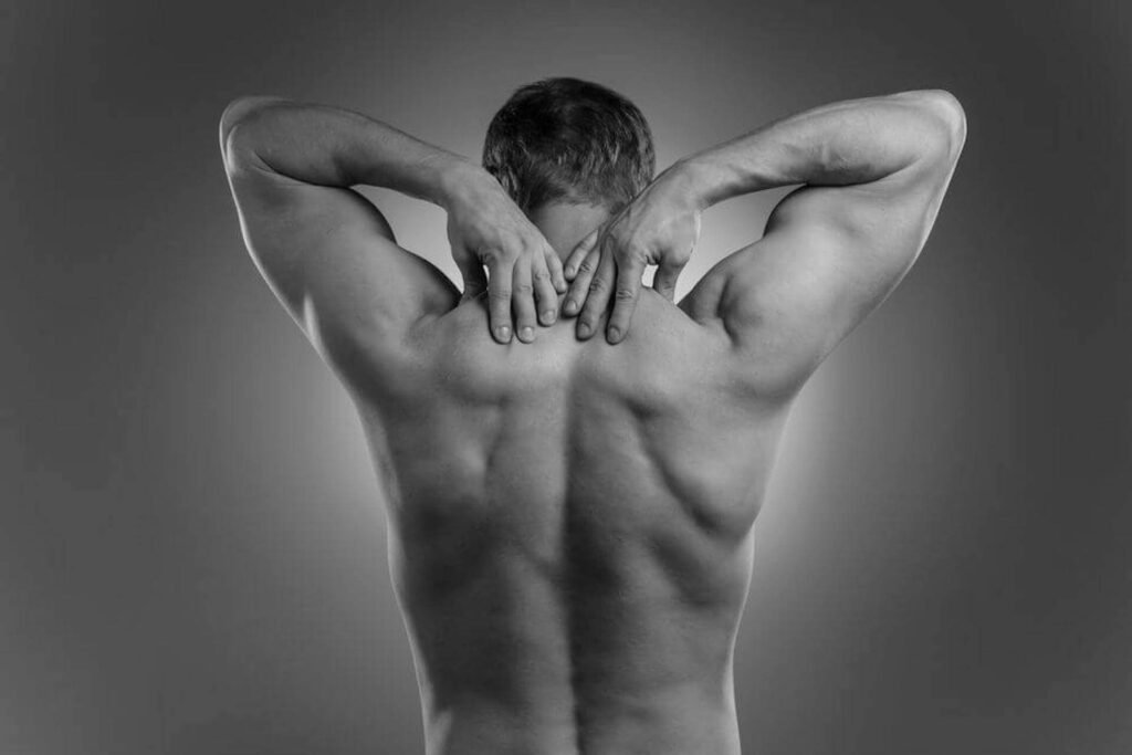 Choosing the best grooming service