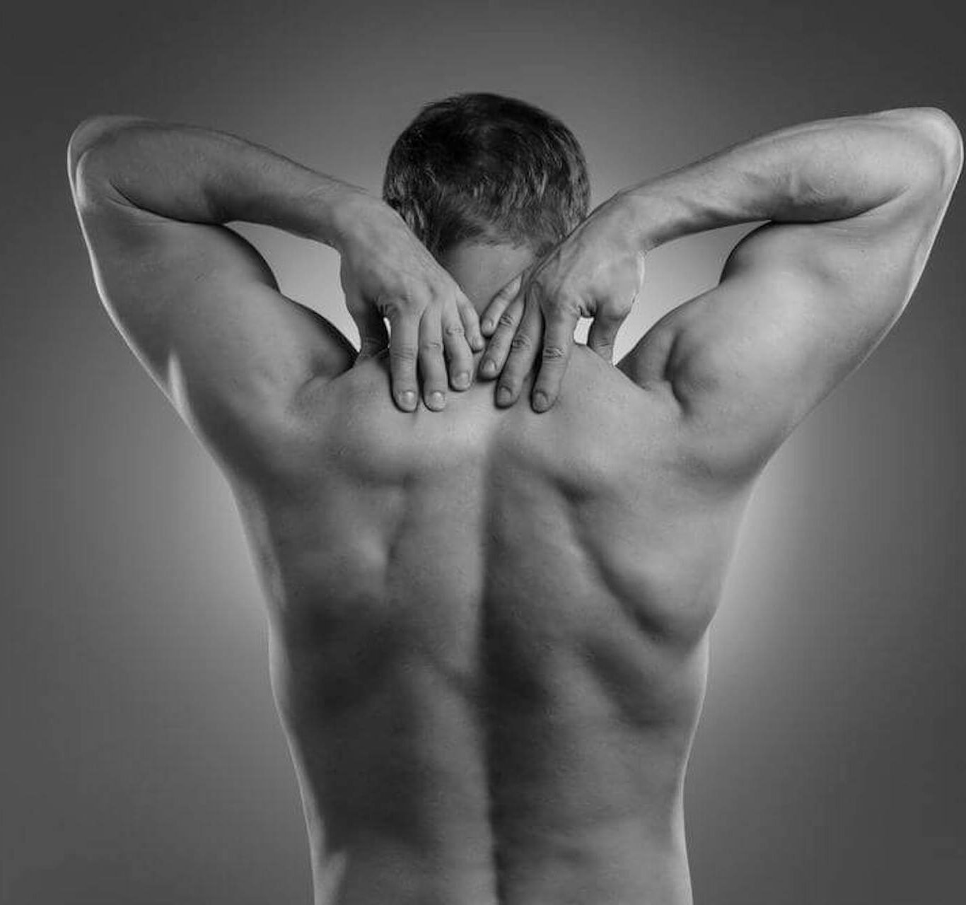 Choosing the best grooming service