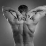 Choosing the best grooming service